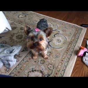 Meet your Posher, Diane